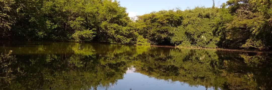 Andrea Bernal banner