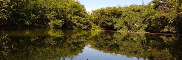 andreabernalri Profile Banner