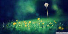 Nohely_457's profile banner image