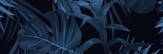 pearmanolivia's profile banner image