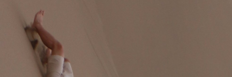bacigaap's profile banner image