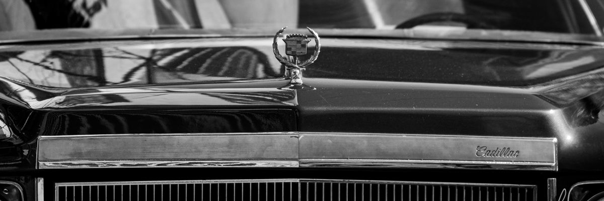dearauj01's profile banner image