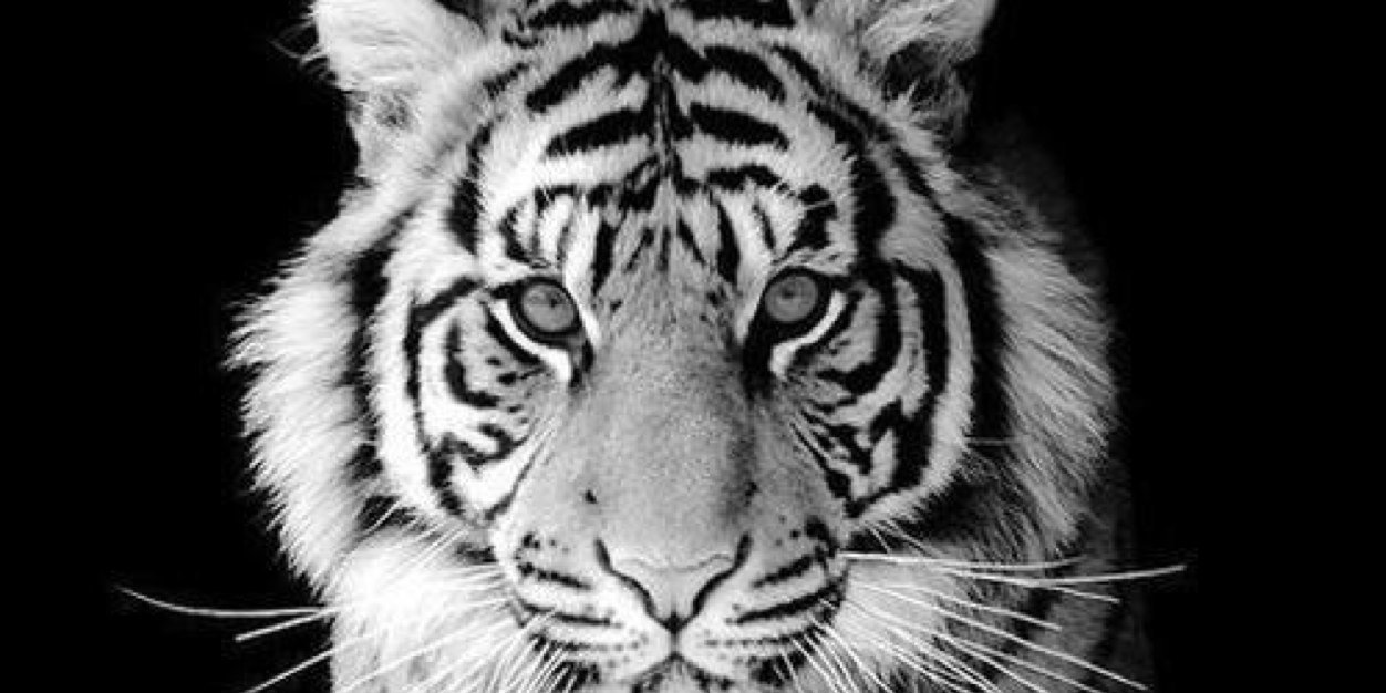 c_durish's profile banner image