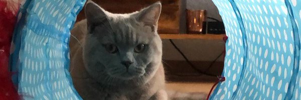 0xCryptoCafe Profile Banner