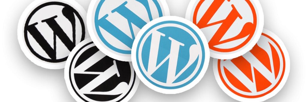 Guy Cicinelli banner