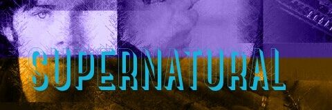 totalweirdchick's profile banner image
