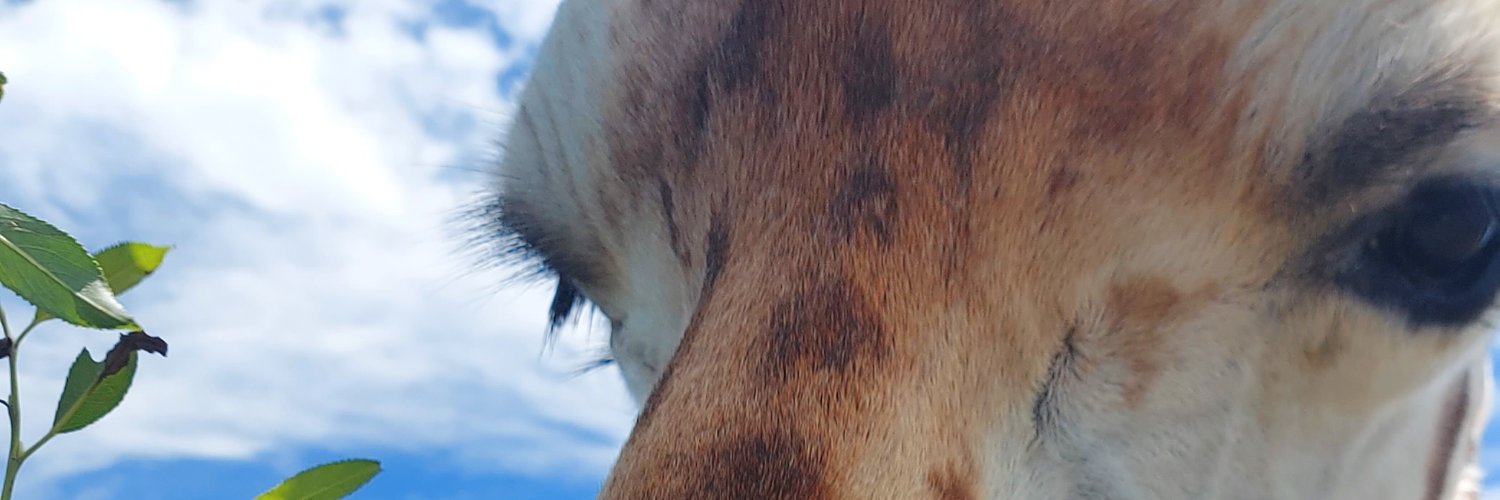 MichaelOToole3's profile banner image