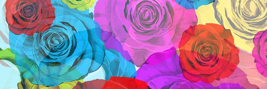 hollyackroyd_'s profile banner image