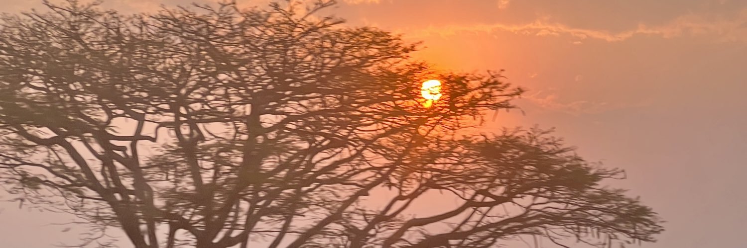 alamwar's profile banner image