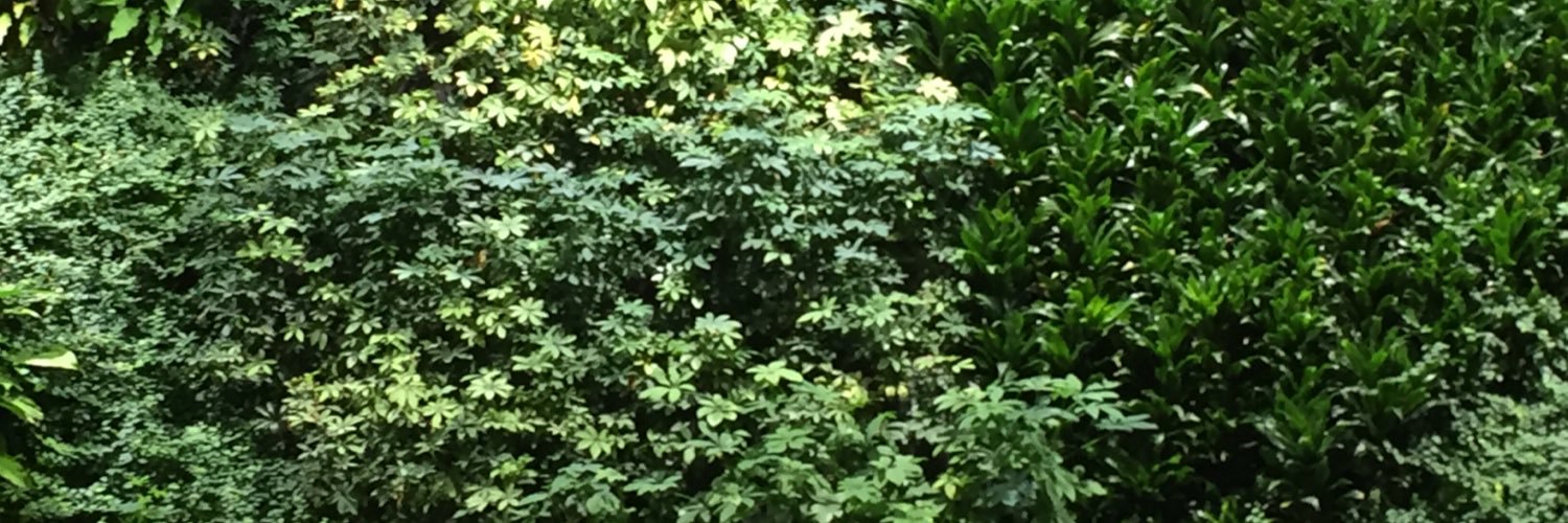 HardyPam's profile banner image