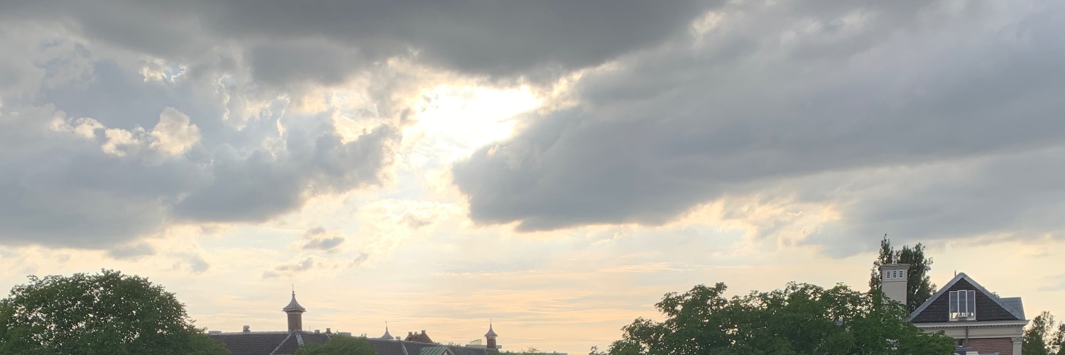 Siri Boe-Lillegraven banner