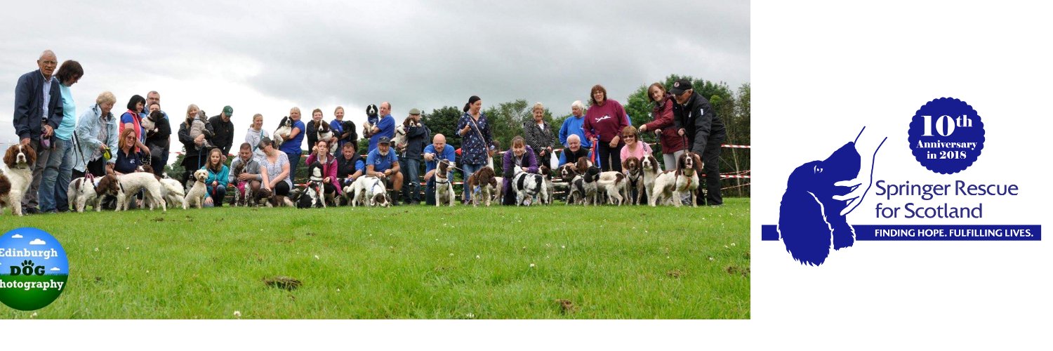 Springer Rescue for Scotland banner