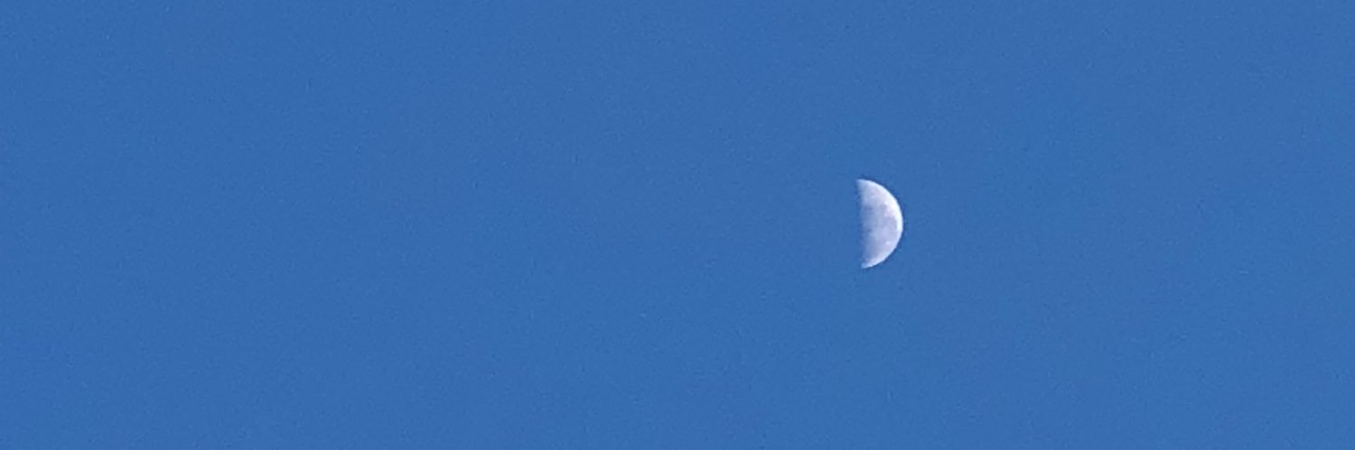 mofidd's profile banner image