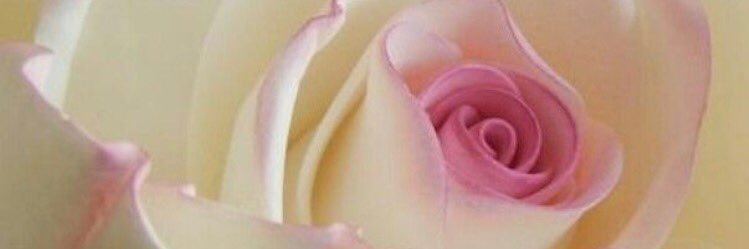 Ssn1622's profile banner image