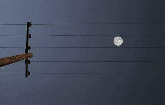 Abraham Ledón banner