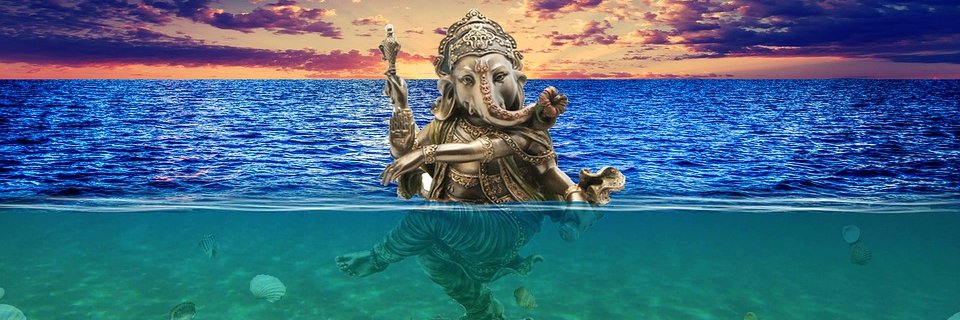 Marco Z Freeman banner