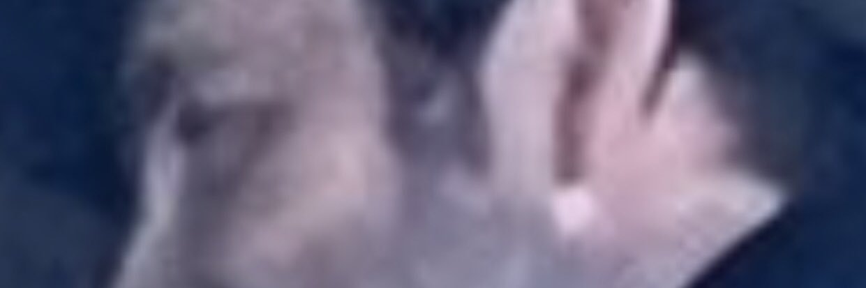 Chris T banner