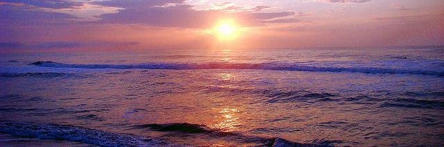 Tere531's profile banner image