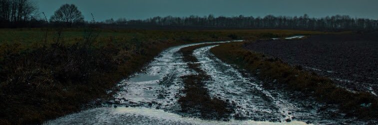maxvanorm's profile banner image