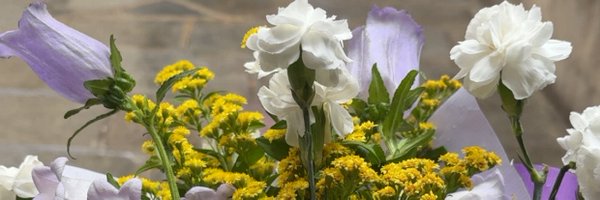 Naelye Profile Banner