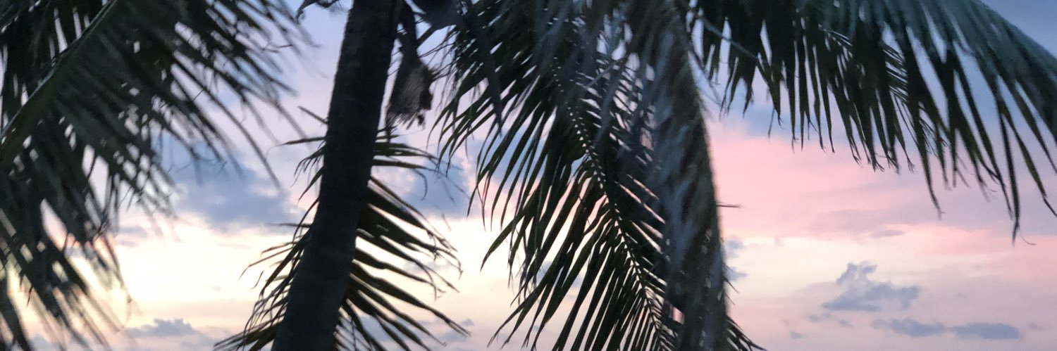 madixxpruitt's profile banner image