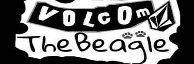 VolcomTheBeagle's profile banner image