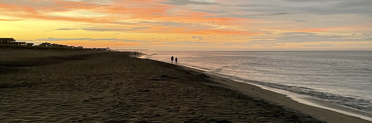 Raphael Lunardi banner