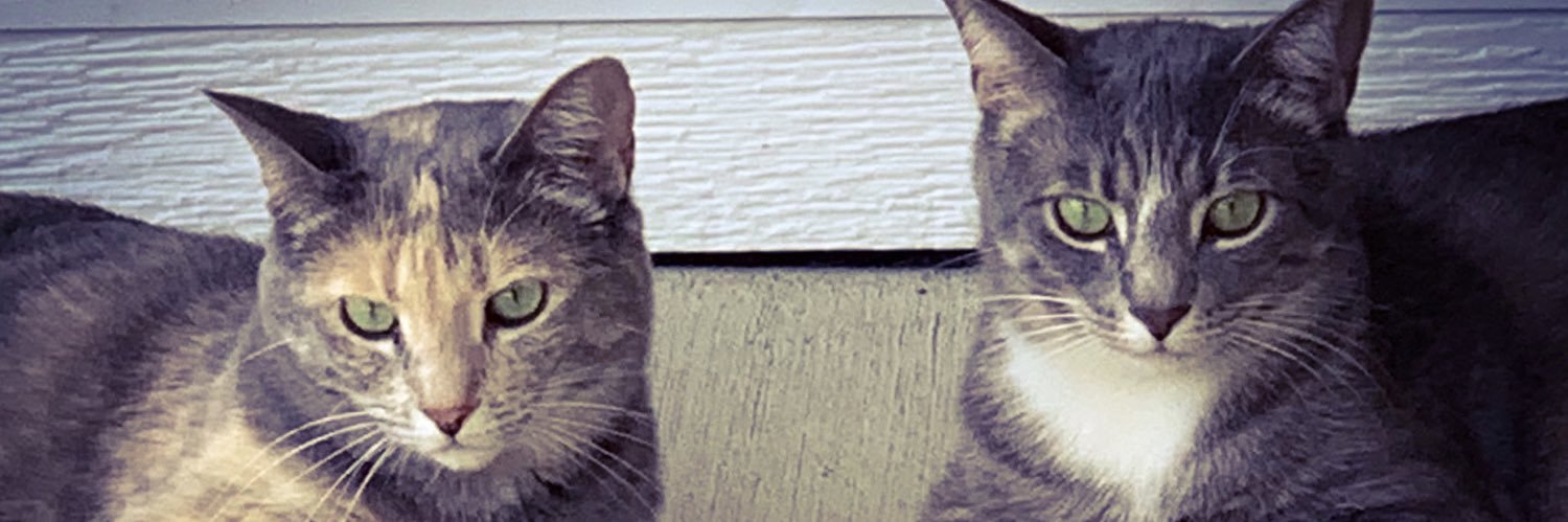 JPage524's profile banner image