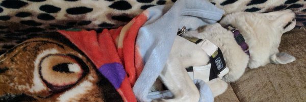 Jordanlundin37 Profile Banner