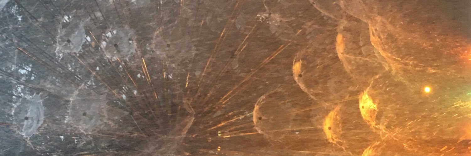 gcsR? banner