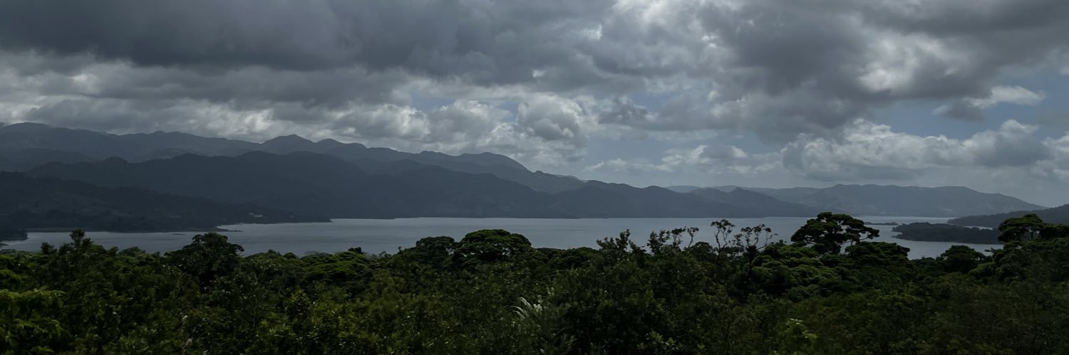 Nalem69's profile banner image