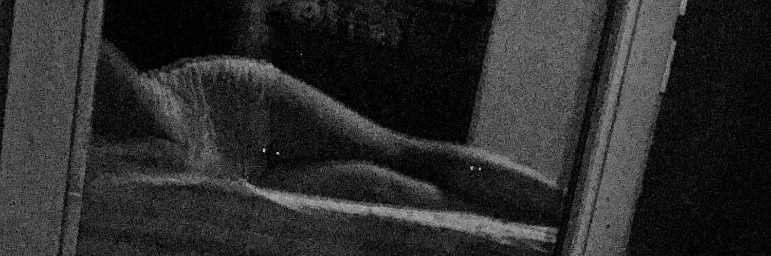 Marie_Azeglia's profile banner image
