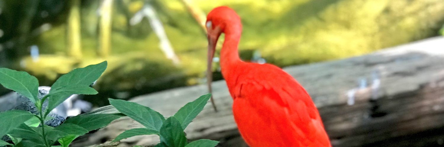 theLindseyJ's profile banner image