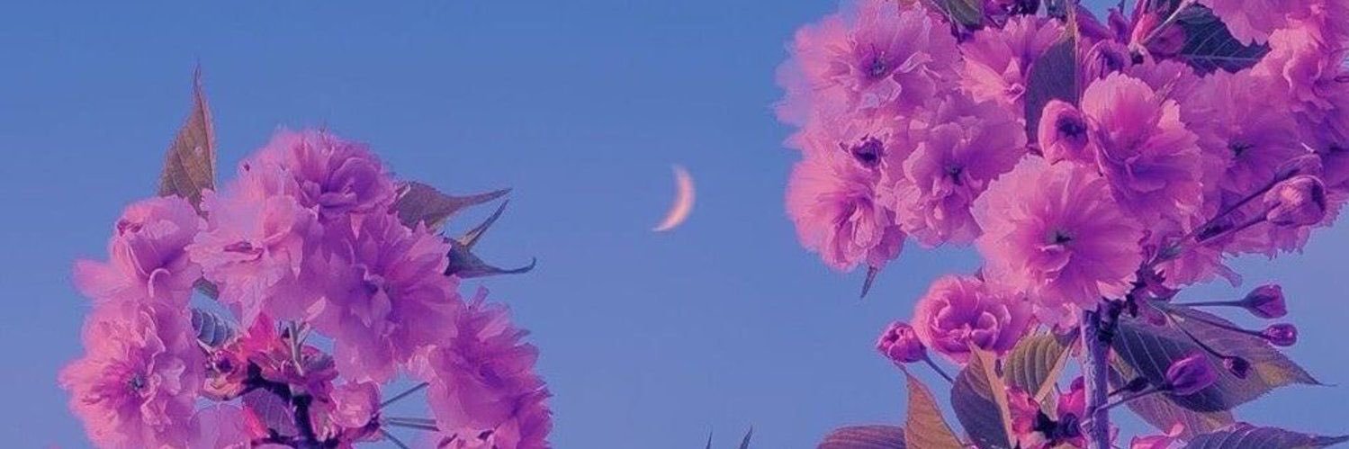 kiahisms's profile banner image