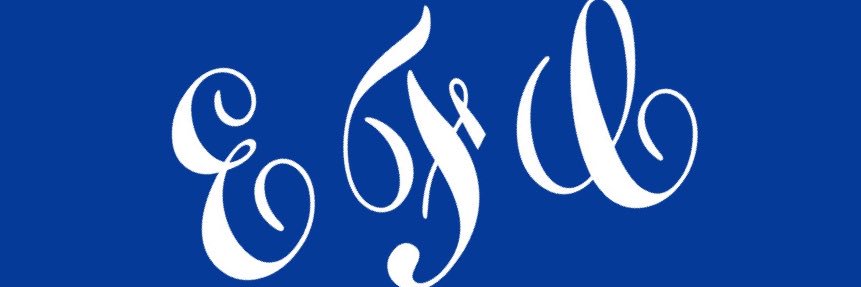 lewis berry banner