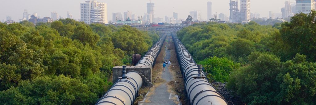 UPenn Anthropology banner