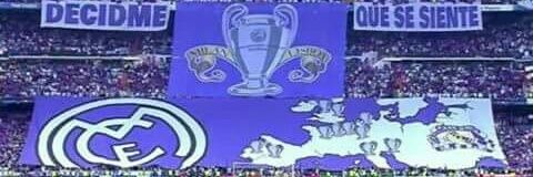 arellaneitor's profile banner image