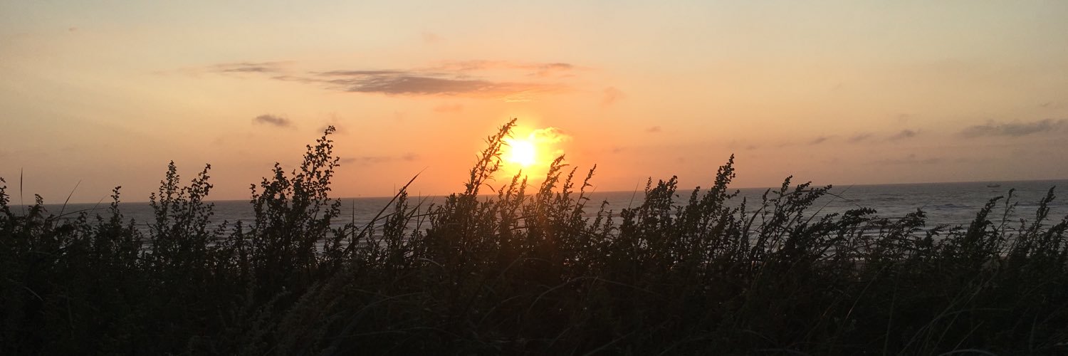ChrisDo91's profile banner image