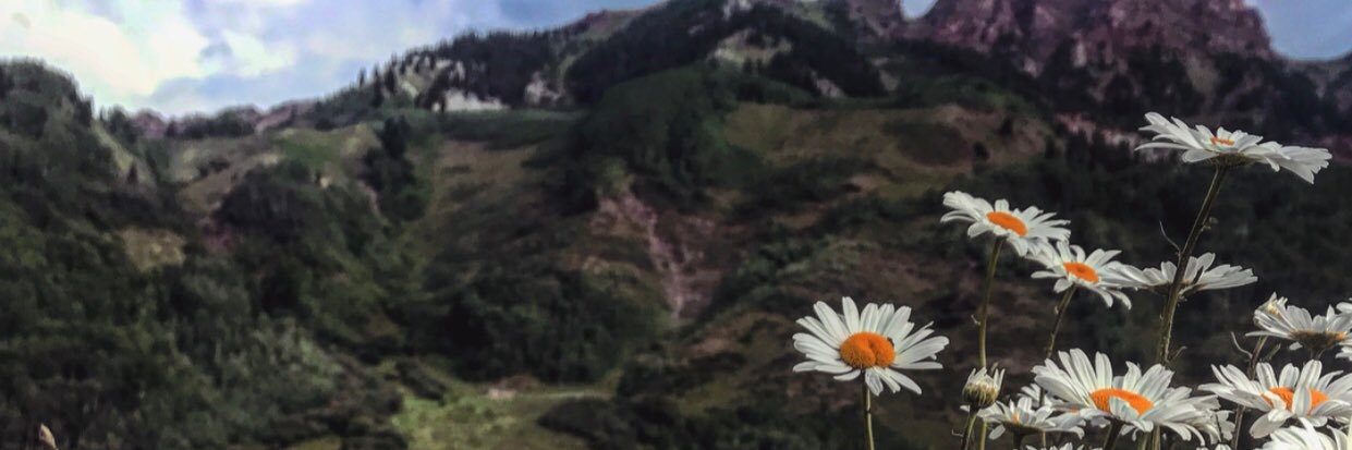 emma_spaulding's profile banner image