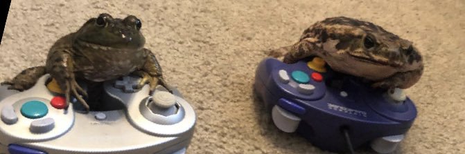 CandyGirlBoots's profile banner image