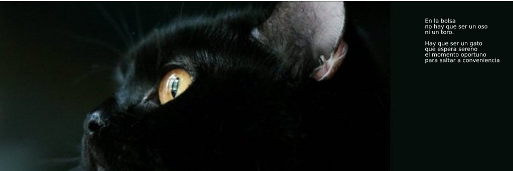 Eduardo Jorge Gil Mi banner