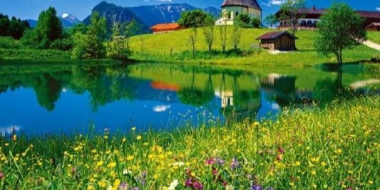 أبوخالد -ع- القشعمي banner