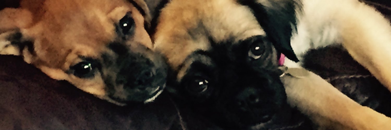 simone_browning's profile banner image