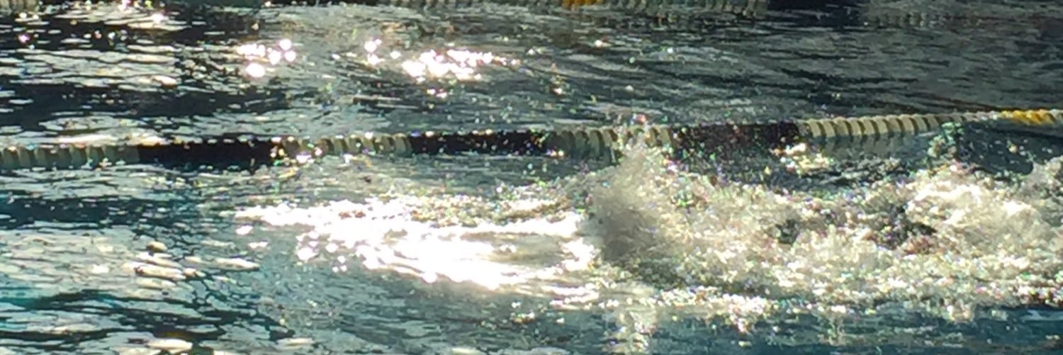 SwimSwamDE's profile banner image
