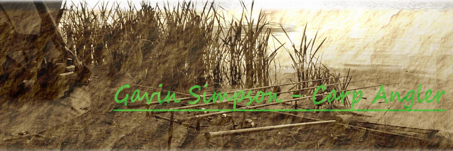 Carper_Gav's profile banner image