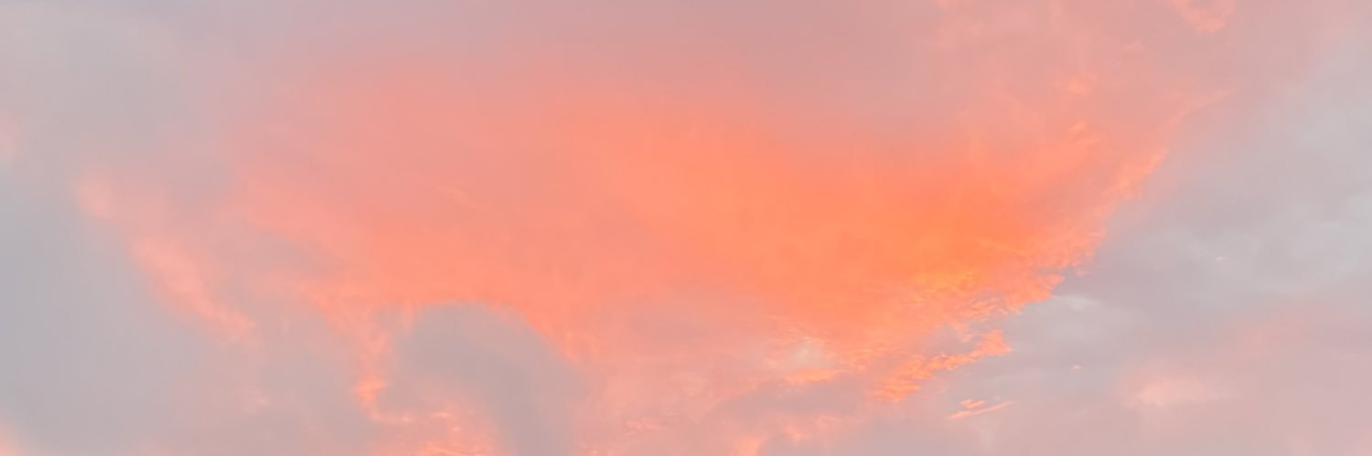 Josh banner