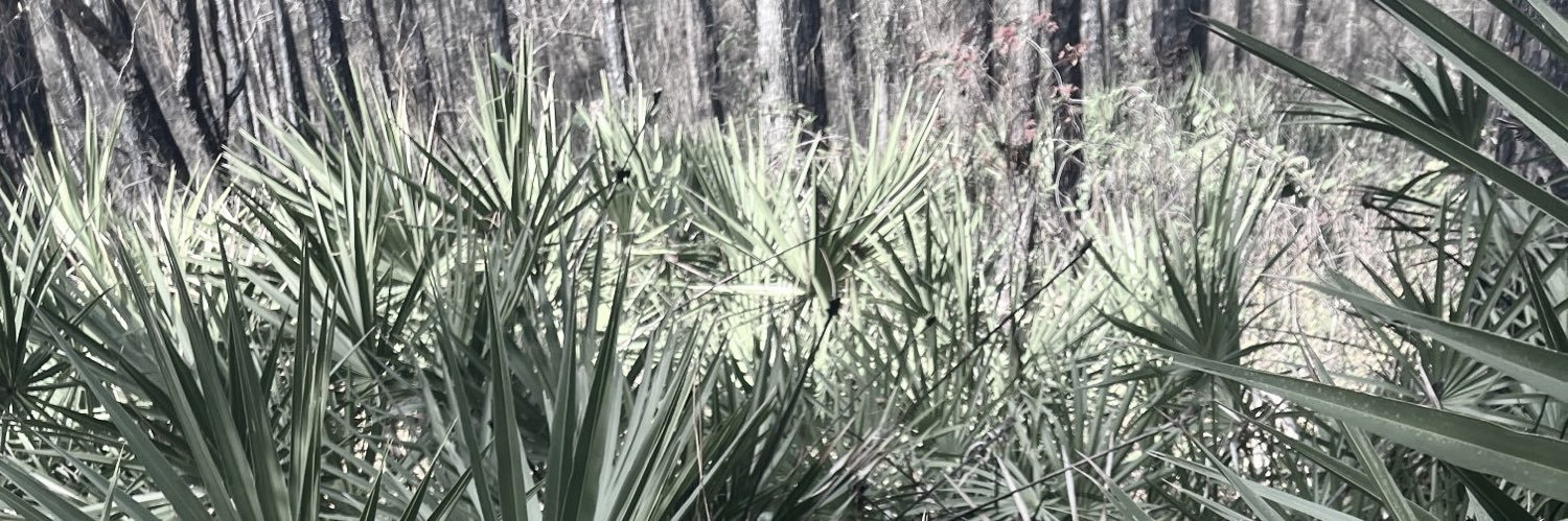 valcrowder's profile banner image