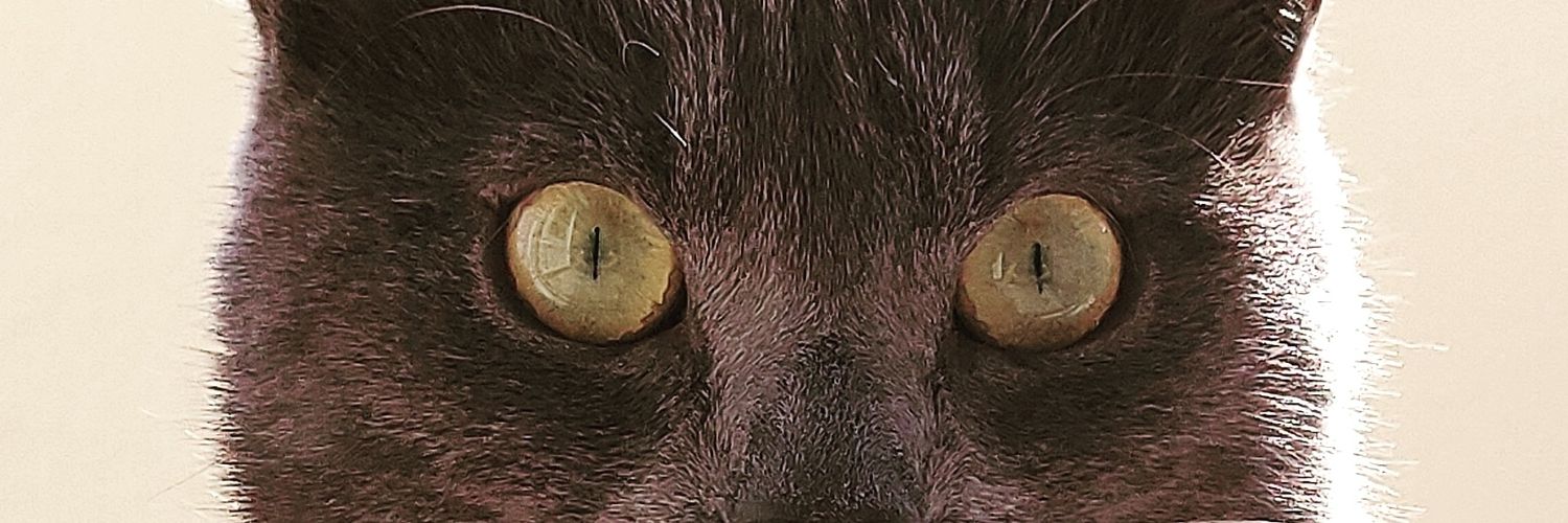 Damienmtr_'s profile banner image
