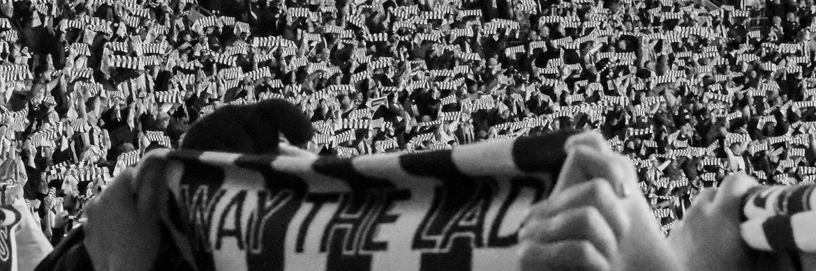 davidjbridge15's profile banner image