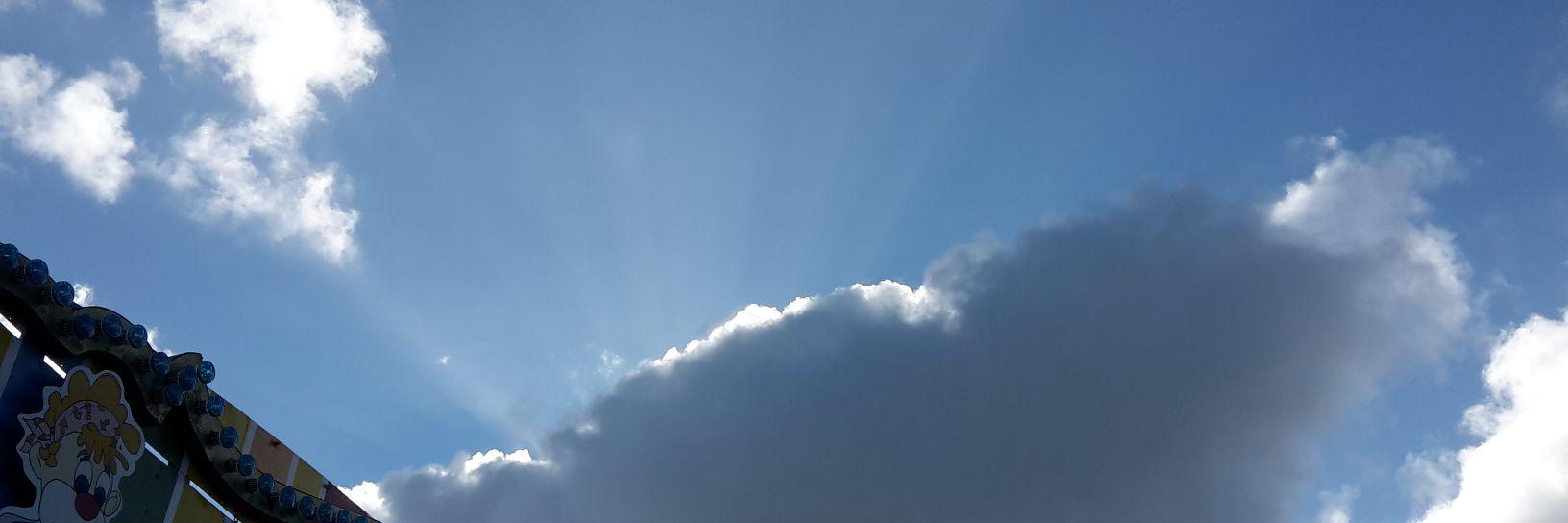 iliese banner